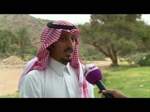 شاهد ظهران الجنوب تعيش بشكل طبيعي