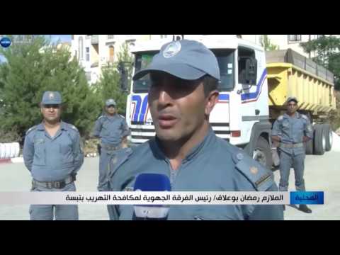 بالفيديو  إحباط أكبر عملية تهريب الشيفون في بلدية الحمامات