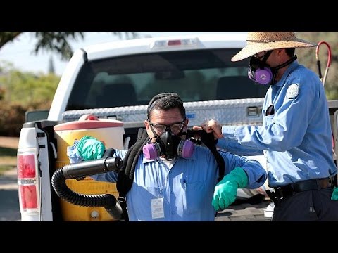 شاهد إصابة 5 أشخاص جدد بفيروس زيكا في ميامي بيتش
