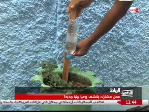 بالفيديو عمل مشترك يكشف وعيا بيئيا جديدا في زنقة الشفاء في العاصمة الرباط