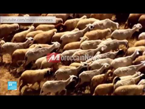 بالفيديو شاهد مناظر رائعة للطبيعة في المغرب