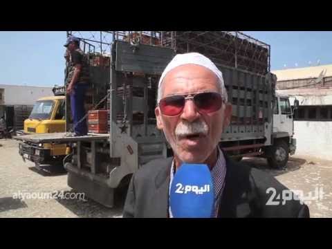 بالفيديو ارتفاع أسعار الدواجن في المغرب