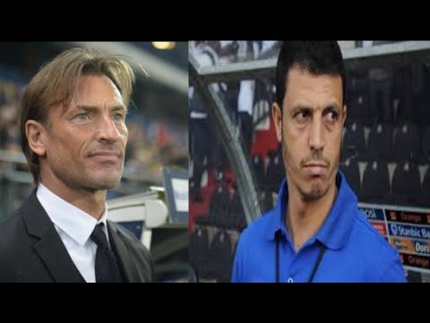 بالفيديو جمال السلامي يؤكّد أنه ليس من حق اللاعبين تضيع فرصة صنعت لهم