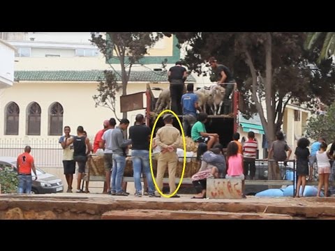 بالفيديو السكان والسلطات تطرد الكسابة من الأحياء السكنية