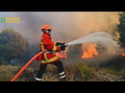 شاهد النيران تأتي على نحو 400 هكتار من الغابات جنوبي فرنسا