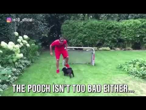 مسعود أوزيل يعلم كلبه كرة القدم