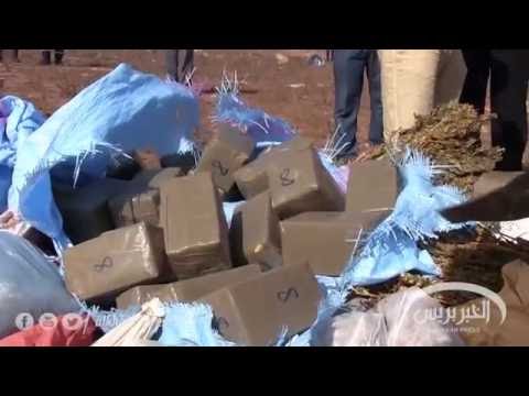 بالفيديو إتلاف 10 مليار سنتيم من مختلف أنواع المخدرات في مديونة