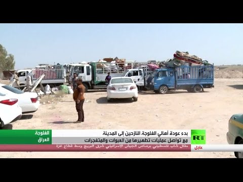 بالفيديو بدء عودة نازحي الفلوجة إلى مدينتهم