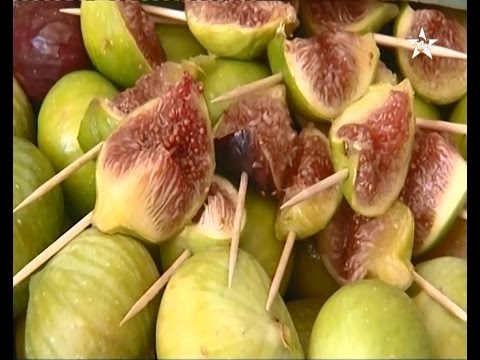 المهرجان الوطني للتين في تاونات في المغرب