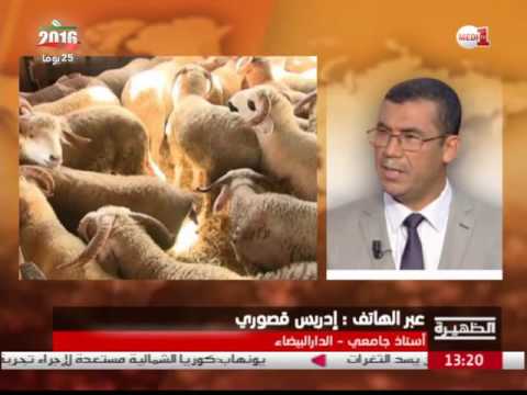 شاهد القصوري يتحدث عن التكلفة الاقتصادية