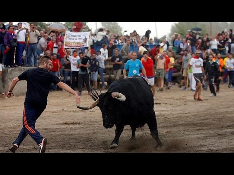 بالفيديو مظاهرات حاشدة في مدريد للمطالبة بحظر مصارعة الثيران