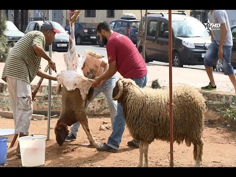 بالفيديو شاهد ما فعله سكان حي اليوسفية في الرباط في أول أيام عيد الأضحى