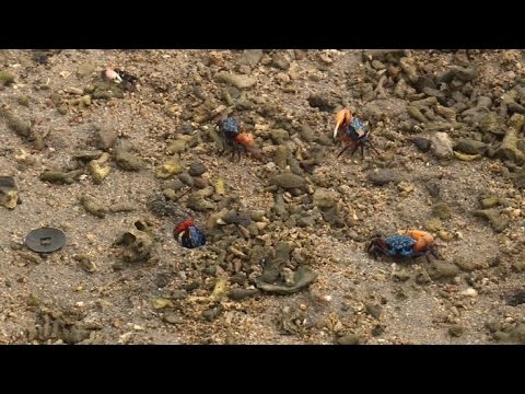 بالفيديو تعبئة واسعة وحشد كبير للرأي العام