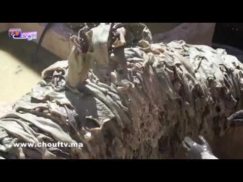 وقفة مع معاناة الدباغة في فاس