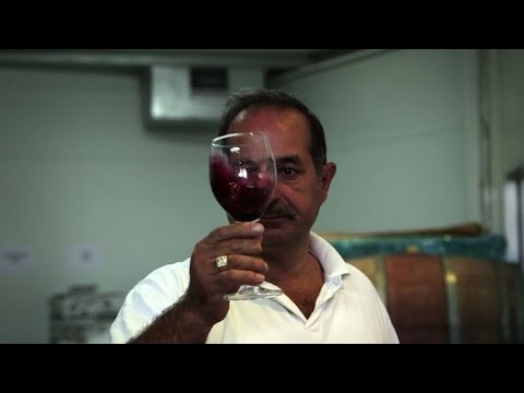 بالفيديو عائلة فلسطينية تحلم بوضع فلسطين على خارطة النبيذ العالمي