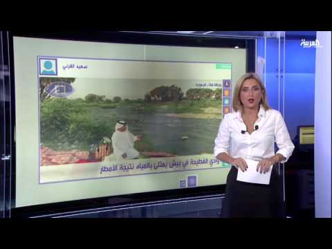 بالفيديو القنصلية السعودية في دبي تحتفل بالعيد الوطني