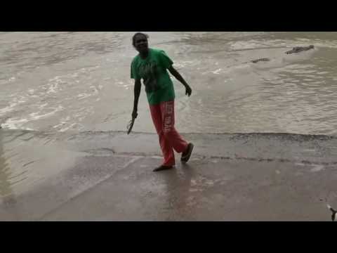  شاهد أسترالية تثير رعب تمساح ضخم