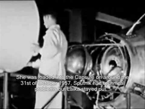 بالفيديو تعرّف على تفاصيل قصة الكلبة لايكا