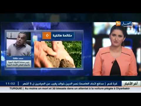 شاهد رئيس مصلحة التنبؤات الجوية يكشف موعد هطول الأمطار على المناطق الشمالية