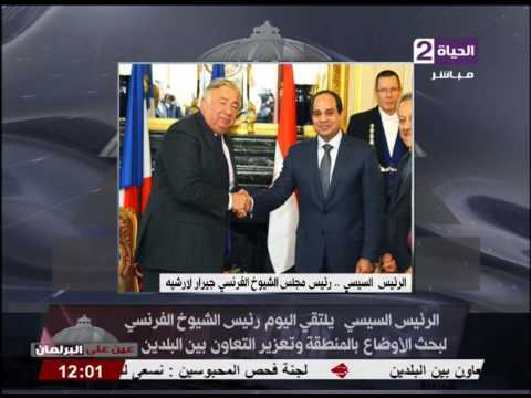 الرئيس السيسي يلتقي رئيس الشيوخ الفرنسي