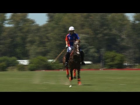 بالفيديو لاعبة بولو تفرض نفسها في الأرجنتين