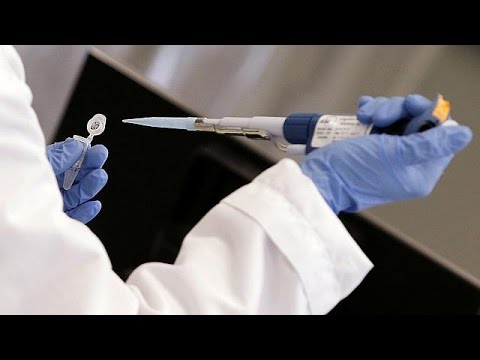 لأول مرة زرع خلايا بشرية في أجنة خنزير