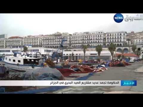 الحكومة تجمد مشاريع الصيد البحري في الجزائر