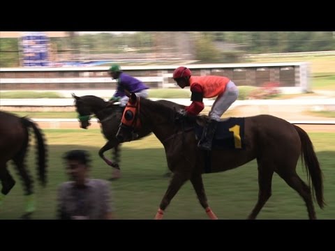 شاهد سباقات الخيل تمنح التايلانديين فرصة نادرة لاختبار حماسة الرهانات