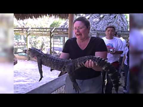 امرأة تصاب بالفزع والخوف والسبب تمساح صغير