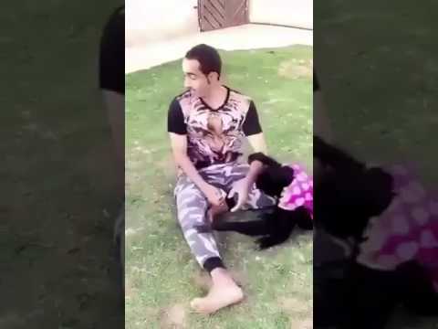 شاهد 3 قرود تلقن سعوديًا درسا لن ينساه في حياته