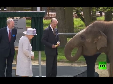 شاهد  الملكة البريطانية تفتح مركزًا لرعاية الفيلة في حديقة ويبسنيد