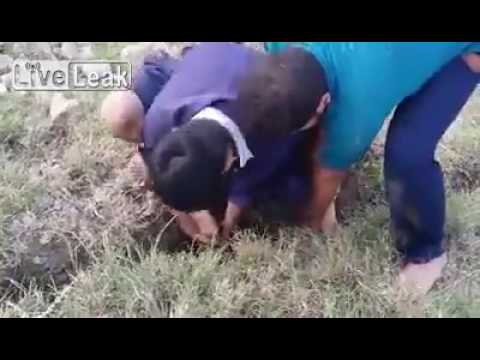 بالفيديو شاب يغامر بحياته لإنقاذ معزة في باكستان