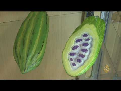 شاهد مُتحف خاص بالشيكولاتة في مدينة نيويورك الأميركية