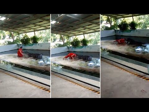 تمساح غادر يلتهم حارسه في جزيرة كوه ساموي السياحية جنوبي تايلاند