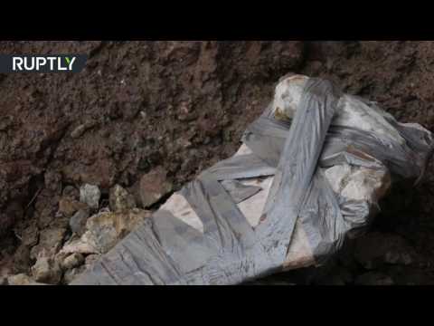 شاهد العثور على بقايا عظان ديناصور كبير