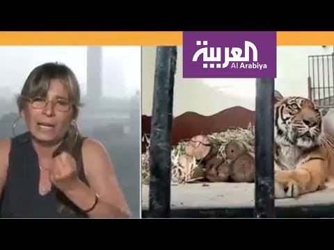 ناشطون يطالبون بتحسين أحوال حديقة الجيزة