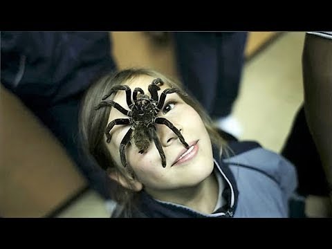 7 حيوانات أخطر مما تتوقع تعيش مع أصحابها ويعتبرونها مثل أولادهم