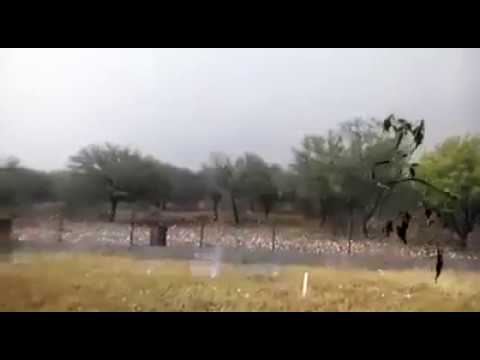 ثلوج بحجم كرة الغولف تقتل الماشية وتدمّر السيارات