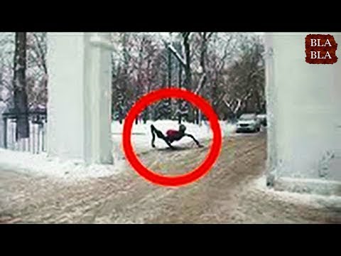 بالفيديو 5 حيوانات مخيفة صورتها عدسات الكاميرا