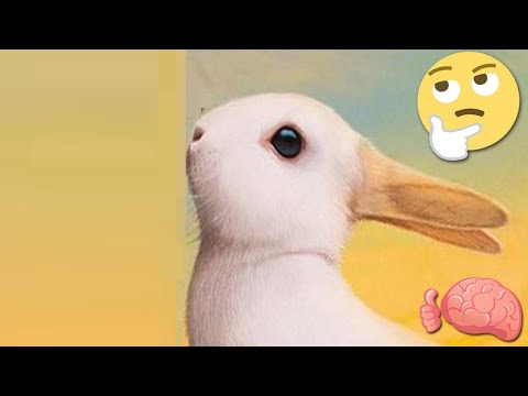 سبع خدع بصرية ستربك عقلك