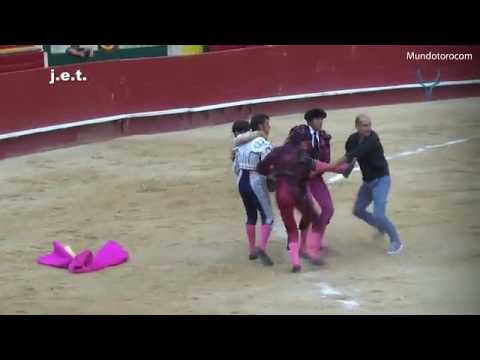 شاهد ثور يخدع مصارعا ويصيبه ببراعة