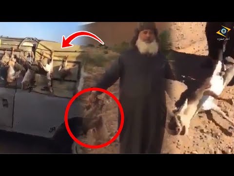 مجموعة من الرجال يرتكبون جريمة في طانطان