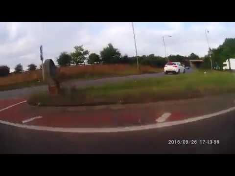 كلب شجاع يلقي القبض على مجرم يختبئ وسط الحقول