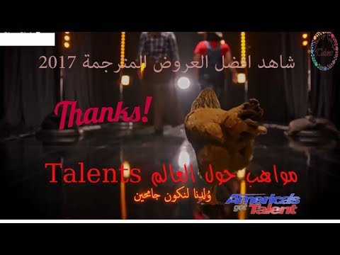 شاهد دجاجة ترفض أداء العرض في  مواهب أميركا 2017