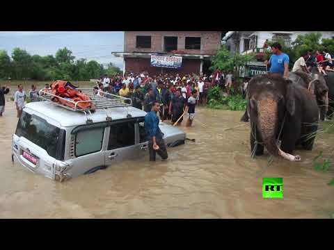 شاهد إجلاء سياح أجانب من منطقة الفيضانات على ظهور الفيلة