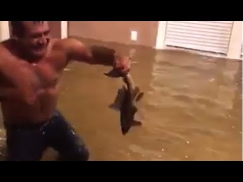 أميركي يصطاد سمكة من داخل منزله الغارق بمياه الفيضانات