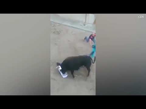 ثور غاضب يقتل رجلًا في مهرجان إسباني