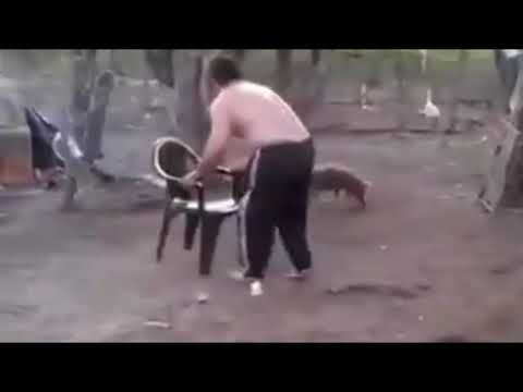 خنزير ضخم يحاول الفتك برجل ضايق صغيره