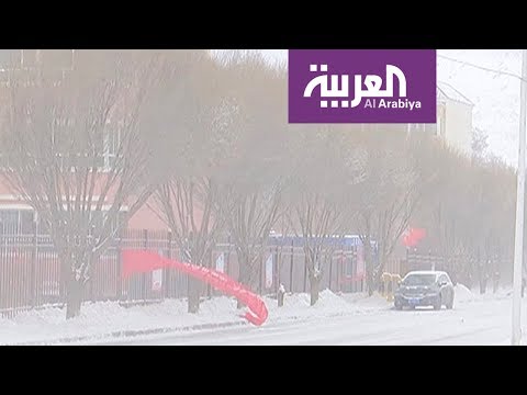 شاهد موجة ثلج وصقيع تضرب دولا عدة