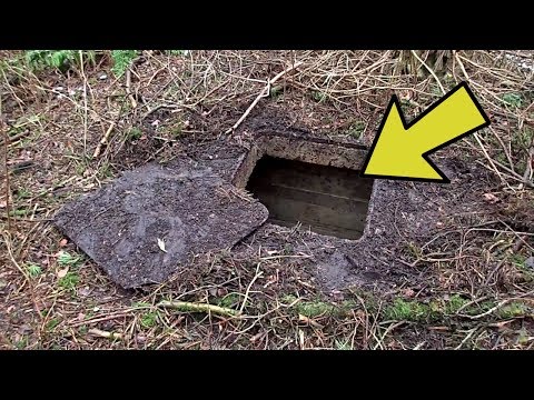 شاهد شخص يبحث في الغابة عن الكنوز